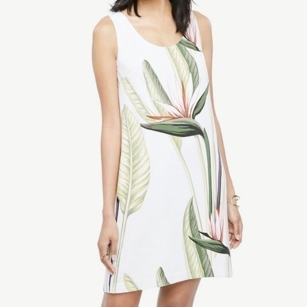 NWT Ann Taylor White Birds of Paradise Floral Print Sleeveless Shift Dress 12